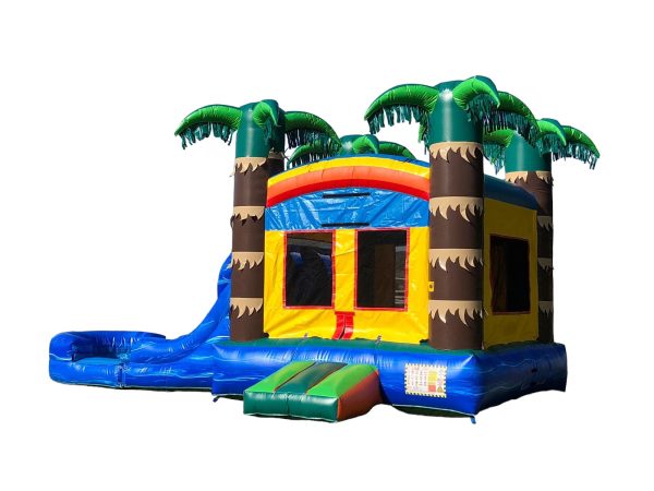 Dual Lane Tropical Fun Water Slide Combo Jumper (sku W271)
