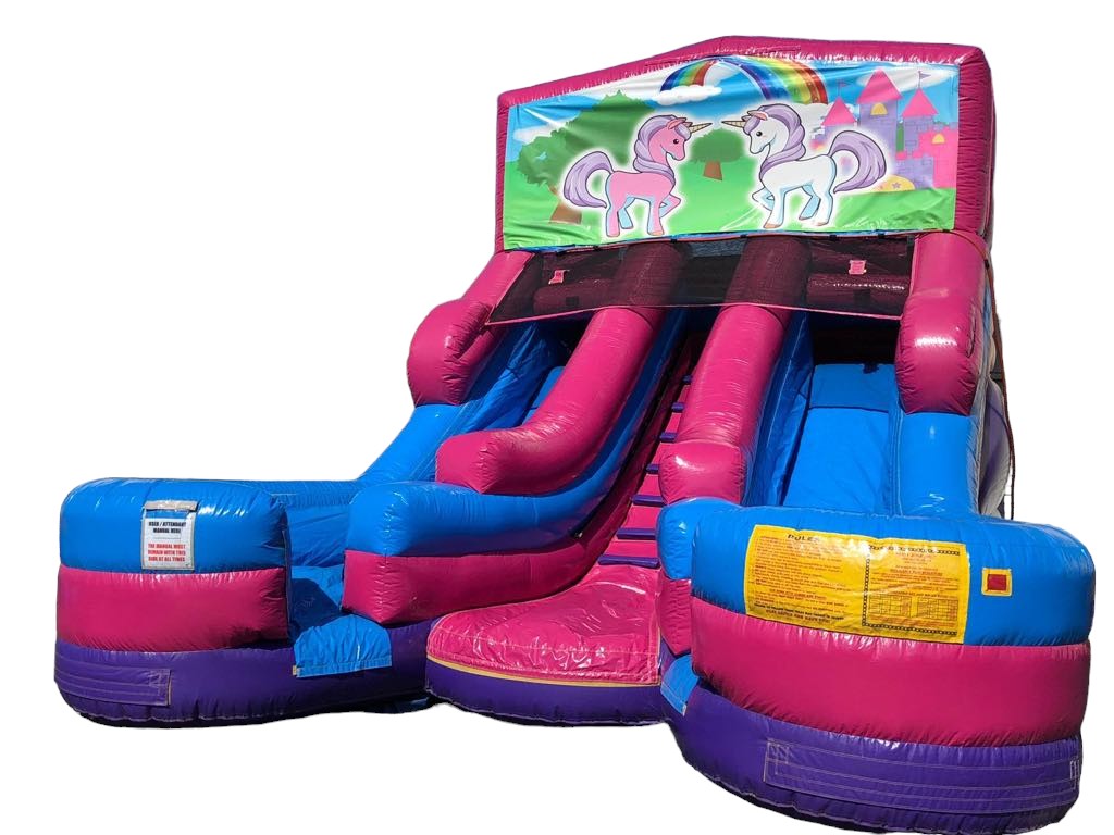 Double Lane Unicorn Dry Slide (sku D312)