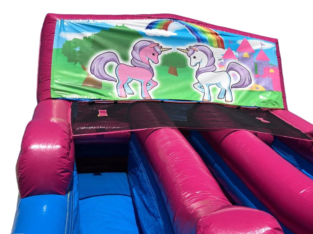 Double Lane Unicorn Dry Slide (sku D312) - Image 5