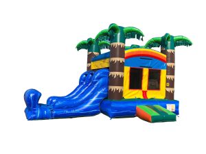 3 in 1 Dual Lane Tropical Fun Jumper (sku C271) - San Diego