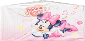 Minnie Mouse Banner (b40) - San Diego