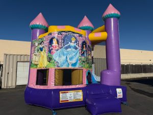 Backyard Dazzling Princess (sku C327-princess-banners)