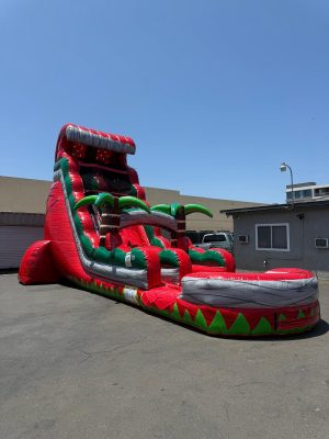 25 Ruby crush Tsunami water slide (sku W316)