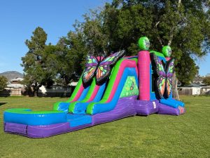 3D butterfly  water combo (sku W333)