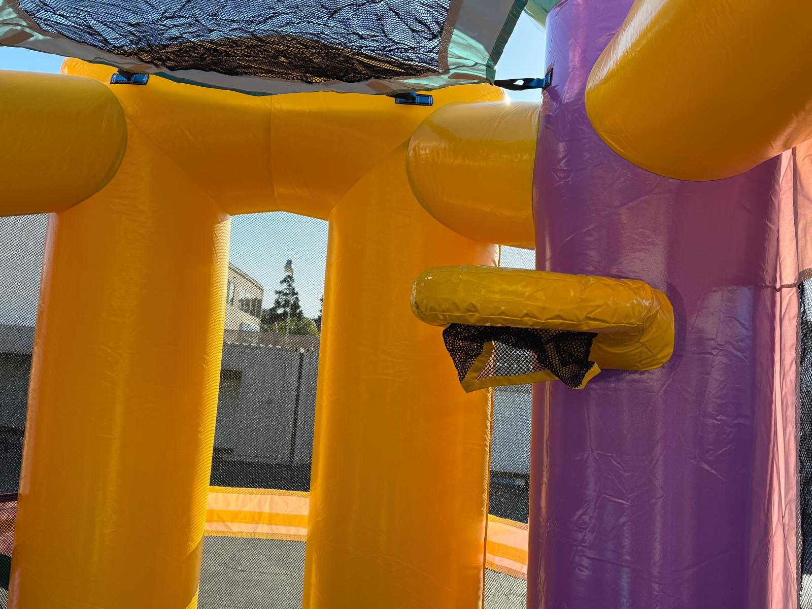 Backyard Dazzling Combo (sku C327) - Image 5